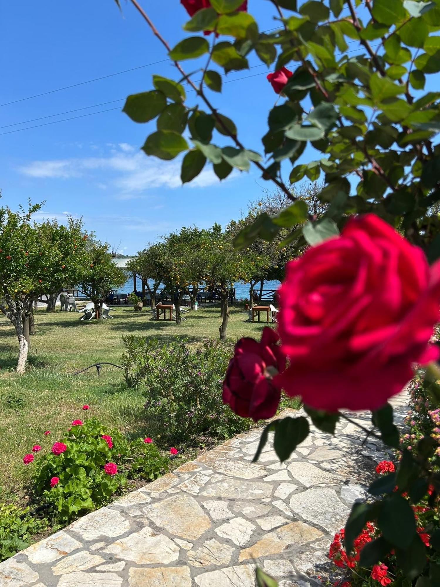 Magda Hotel Apartments Epidaurus ภายนอก รูปภาพ