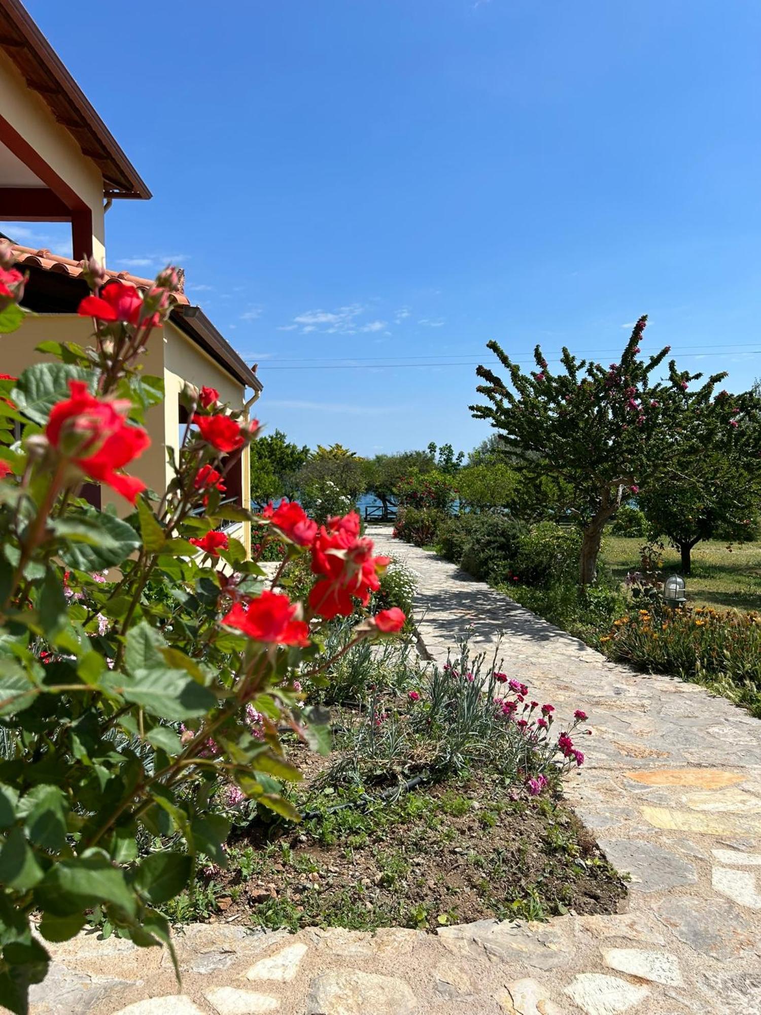 Magda Hotel Apartments Epidaurus ภายนอก รูปภาพ