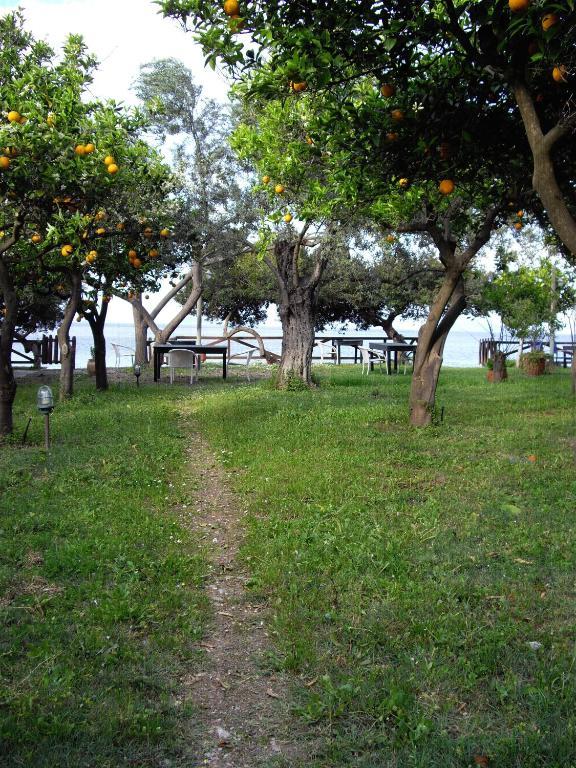 Magda Hotel Apartments Epidaurus ภายนอก รูปภาพ