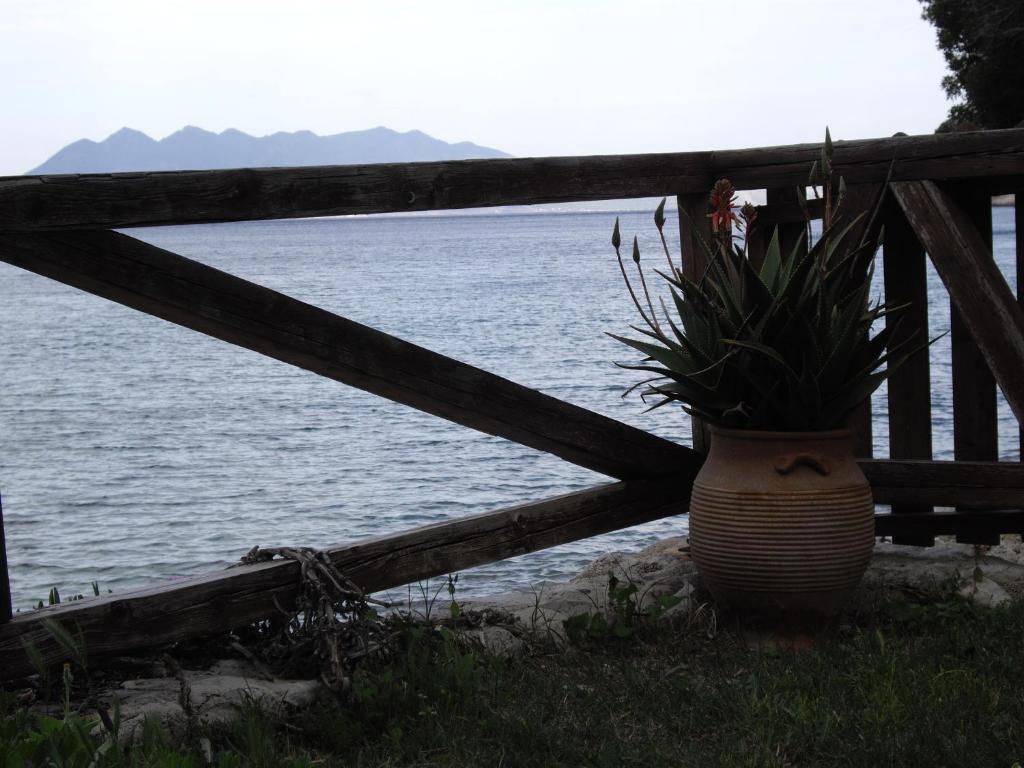 Magda Hotel Apartments Epidaurus ภายนอก รูปภาพ