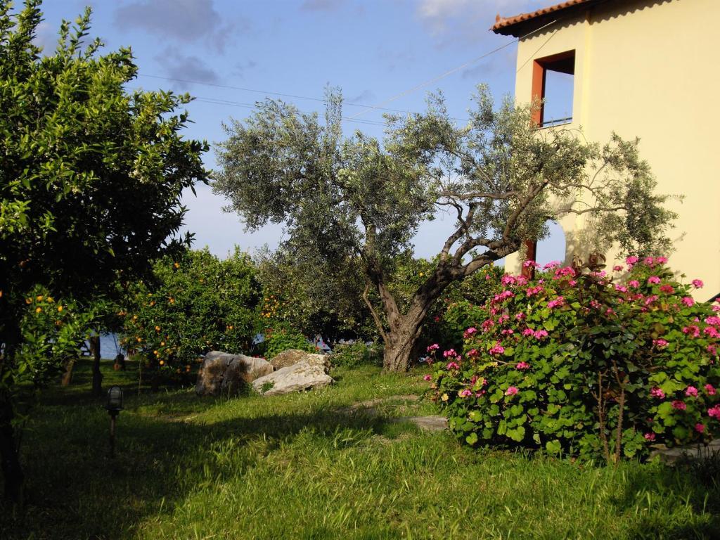 Magda Hotel Apartments Epidaurus ภายนอก รูปภาพ